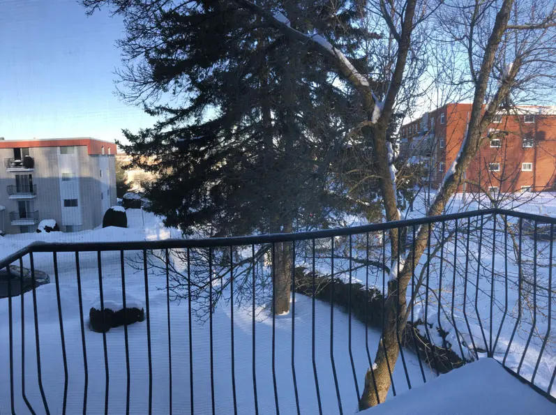 3½ — 1991, rue Dubreuil, rez-de-chaussée, photo 6