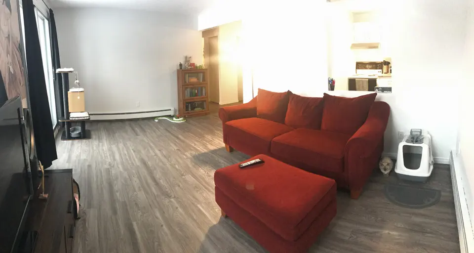 3½ — 1998, rue Dubreuil, 3e étage, photo 6