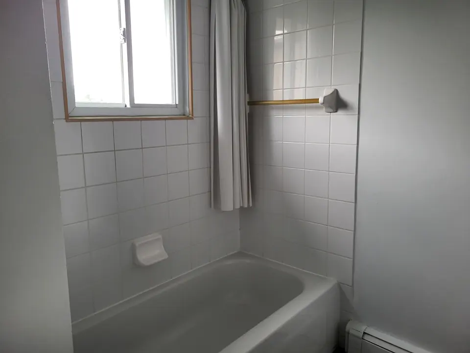 3½ — 2011, rue Dubreuil, 4e étage, photo 12