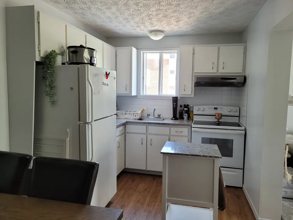 3½ — 900, rue Tessier, 1er étage, photo 2