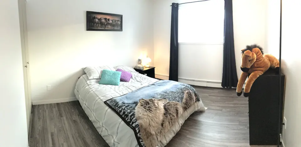 4½ — 900, rue Tessier, 4e étage, photo 7